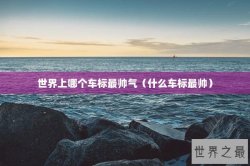 世界上哪个车标最帅气（什么车标最帅）