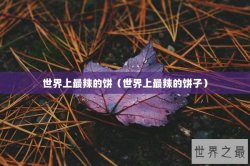 世界上最辣的饼（世界上最辣的饼子）