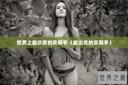 世界上最珍贵的贝斯手（最出名的贝斯手）