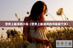 世界上最湿的小岛（世界上最湿润的洲是哪个洲）