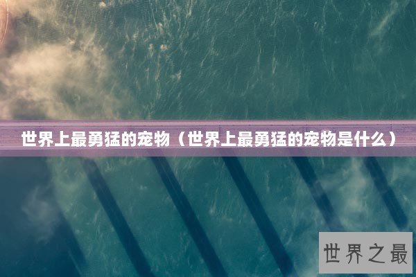 世界上最勇猛的宠物（世界上最勇猛的宠物是什么）