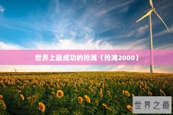 世界上最成功的抢滩（抢滩2000）