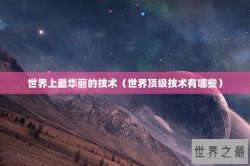 世界上最华丽的技术（世界顶级技术有哪些）