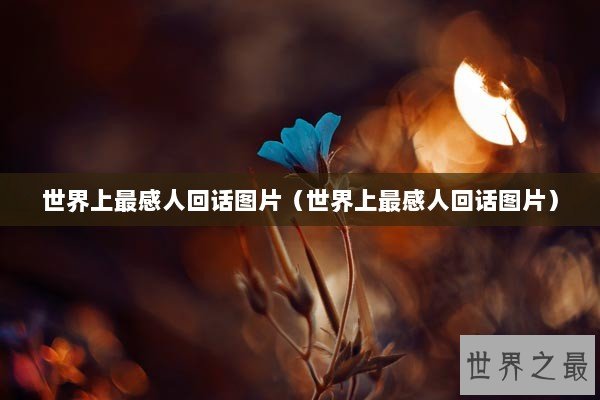 世界上最感人回话图片（世界上最感人回话图片）