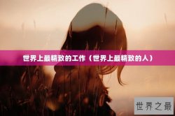 世界上最精致的工作（世界上最精致的人）