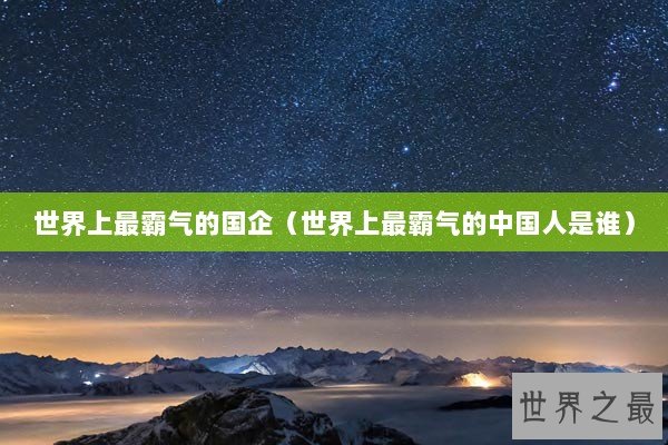 世界上最霸气的国企（世界上最霸气的中国人是谁）