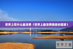 世界上吃什么最浪费（世界上最浪费粮食的国家）