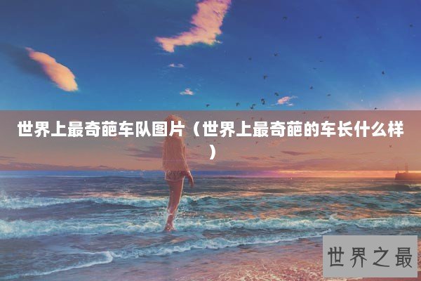 世界上最奇葩车队图片（世界上最奇葩的车长什么样）