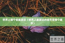 世界上哪个省最发达（世界上最发达的城市是哪个城市）