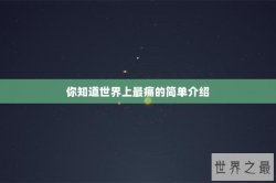你知道世界上最痛的简单介绍