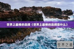 世界上最棒的品牌（世界上最棒的品牌是什么）