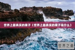 世界上最真实的果子（世界上最真实的果子是什么）