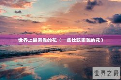 世界上最素雅的花（一些比较素雅的花）