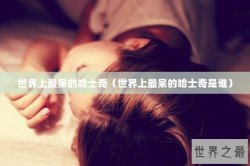 世界上最呆的哈士奇（世界上最呆的哈士奇是谁）