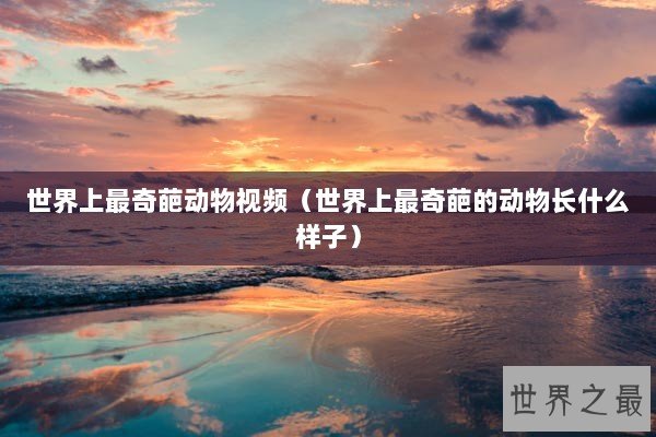 世界上最奇葩动物视频(世界上最奇葩的动物长什么样子) 世界上最奇葩动物视频(世界上最奇葩的动物长什么样子)