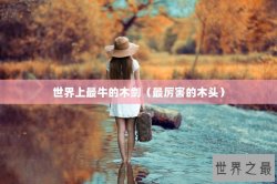 世界上最牛的木剑（最厉害的木头）