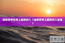 迷你世界世界上最胖的人（迷你世界上最胖的人是谁）