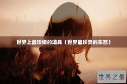 世界上最珍稀的道具（世界最珍贵的东西）