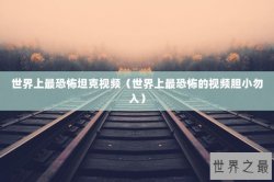 世界上最恐怖坦克视频（世界上最恐怖的视频胆小勿入）