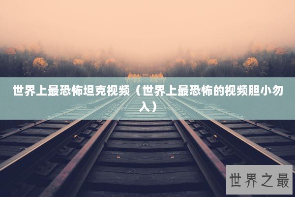 世界上最恐怖坦克视频（世界上最恐怖的视频胆小勿入）