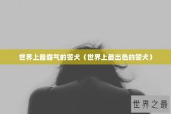 世界上最霸气的警犬（世界上最出色的警犬）