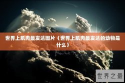 世界上肌肉最发达图片（世界上肌肉最发达的动物是什么）