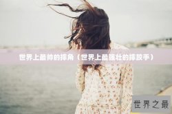 世界上最帅的摔角（世界上最强壮的摔跤手）