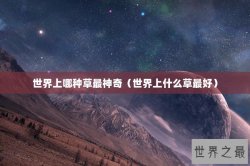 世界上哪种草最神奇（世界上什么草最好）