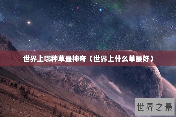 世界上哪种草最神奇（世界上什么草最好）