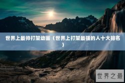 世界上最帅打架动画（世界上打架最强的人十大排名）
