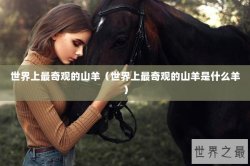 世界上最奇观的山羊（世界上最奇观的山羊是什么羊）