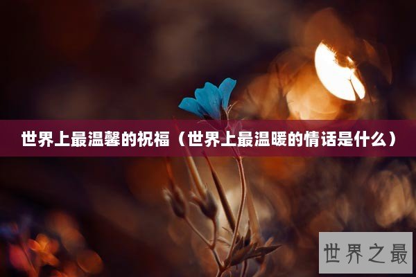 世界上最温馨的祝福（世界上最温暖的情话是什么）