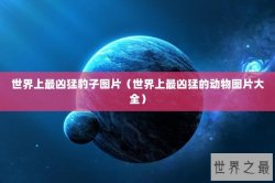 世界上最凶猛豹子图片（世界上最凶猛的动物图片大全）
