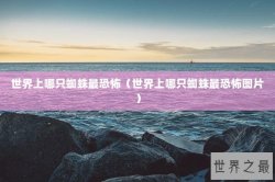 世界上哪只蜘蛛最恐怖（世界上哪只蜘蛛最恐怖图片）
