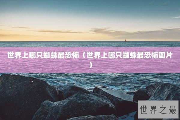 世界上哪只蜘蛛最恐怖（世界上哪只蜘蛛最恐怖图片）