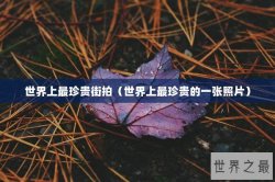 世界上最珍贵街拍（世界上最珍贵的一张照片）