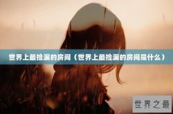 世界上最捡漏的房间（世界上最捡漏的房间是什么）