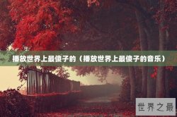 播放世界上最傻子的（播放世界上最傻子的音乐）