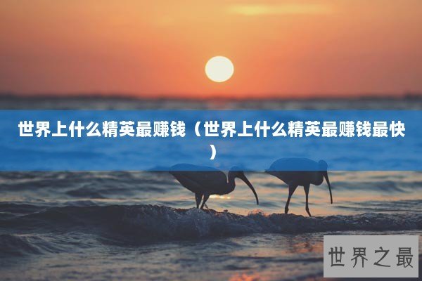世界上什么精英最赚钱（世界上什么精英最赚钱最快）