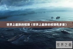 世界上最胖的核弹（世界上最胖的核弹有多重）