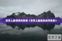 世界上最惊艳的复制（世界上最复杂的字复制）