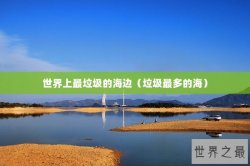 世界上最垃圾的海边（垃圾最多的海）