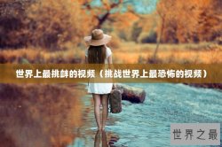 世界上最挑衅的视频（挑战世界上最恐怖的视频）