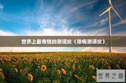 世界上最奇怪的测谎仪（恐怖测谎仪）