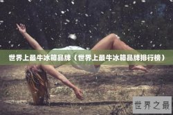 世界上最牛冰箱品牌（世界上最牛冰箱品牌排行榜）