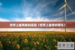 世界上最残暴的追尾（世界上最惨的撞车）