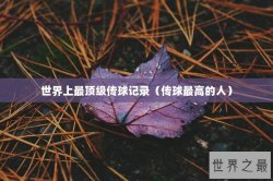 世界上最顶级传球记录（传球最高的人）