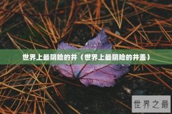 世界上最阴险的井（世界上最阴险的井盖）