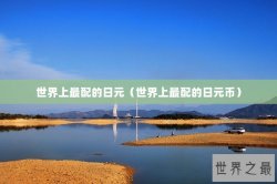 世界上最配的日元（世界上最配的日元币）