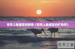世界上最便宜的固体（世界上最便宜的矿物质）